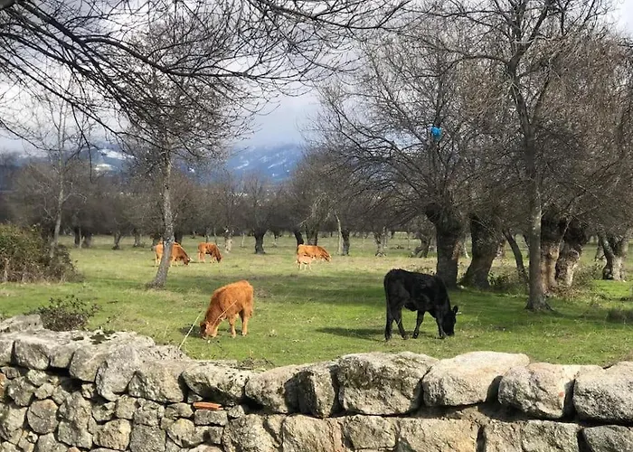 Guadarrama, Atico Nuevo Con Espectaculares Vistas