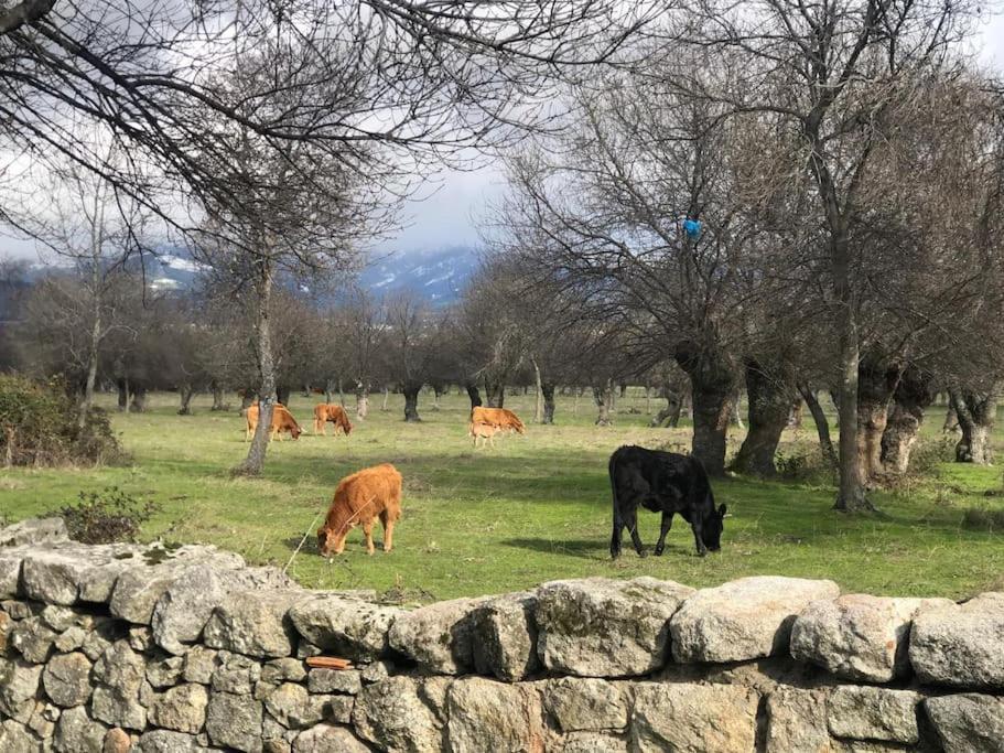 Guadarrama, Atico Nuevo Con Espectaculares Vistas Guadarrama