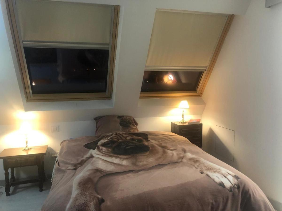 Apartment Guadarrama, Atico Nuevo Con Espectaculares Vistas *